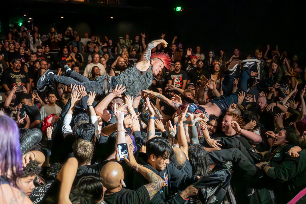 The Casualties