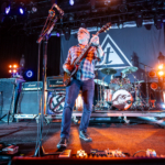 Toadies